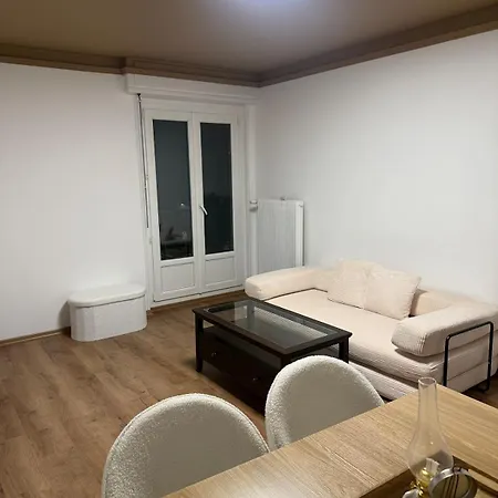 Newly Renovated Private Parking Wifi In * Mulhouse