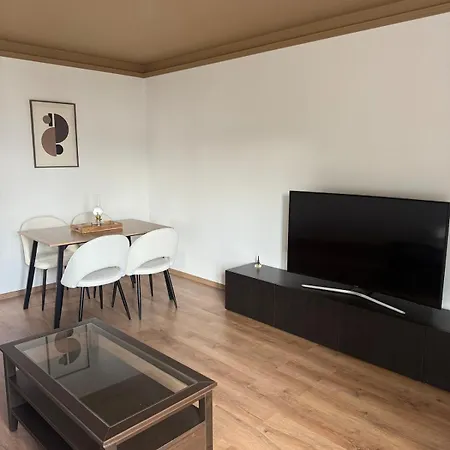 Newly Renovated Private Parking Wifi In Apartment Mulhouse