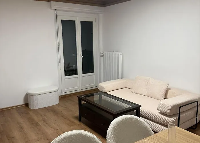 Newly Renovated Private Parking Wifi In * Mulhouse