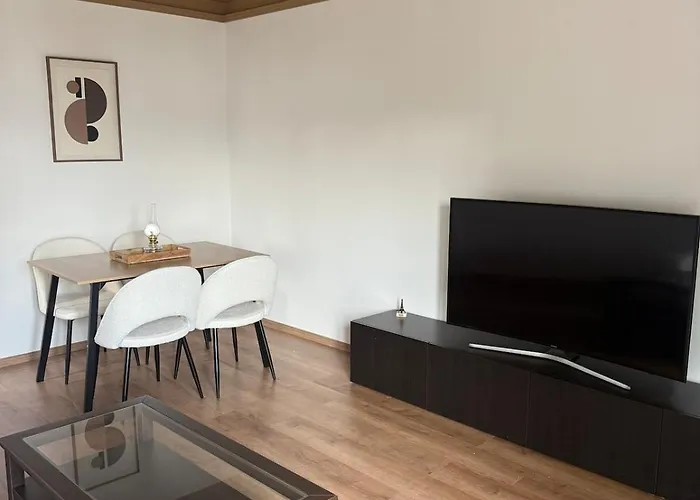 Newly Renovated Private Parking Wifi In Apartment Mulhouse